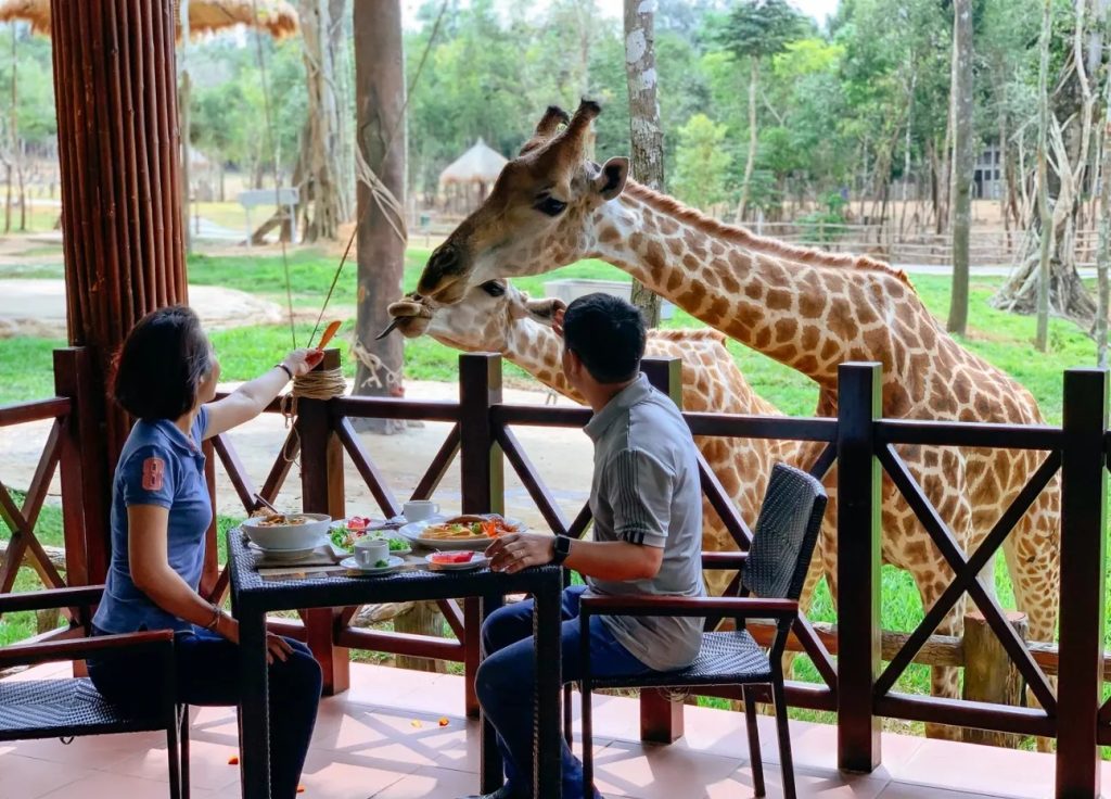 Giraffe Restaurant