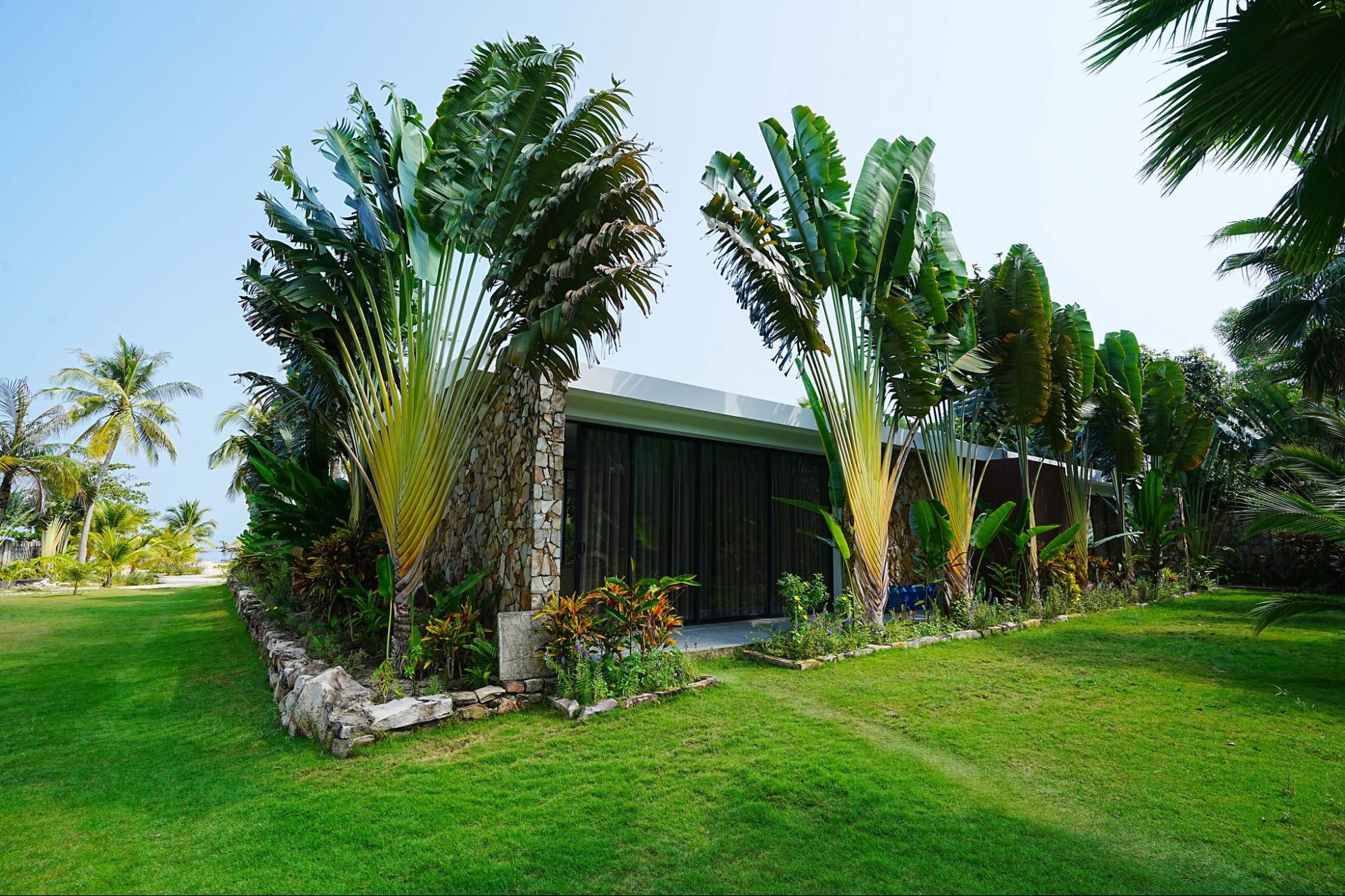 Không gian xanh tại Kiwuki Luxury Villa