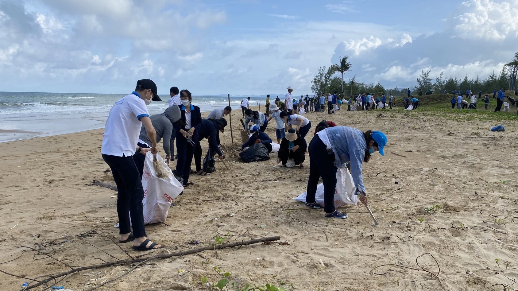 Bảo vệ môi trường biển cũng góp phần vào việc bảo tồn loài bò biển