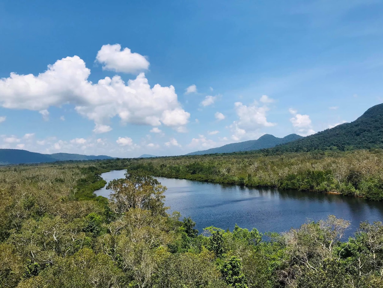 Chiêm ngưỡng khu rừng nguyên sinh hai bên bờ sông Rạch Tràm