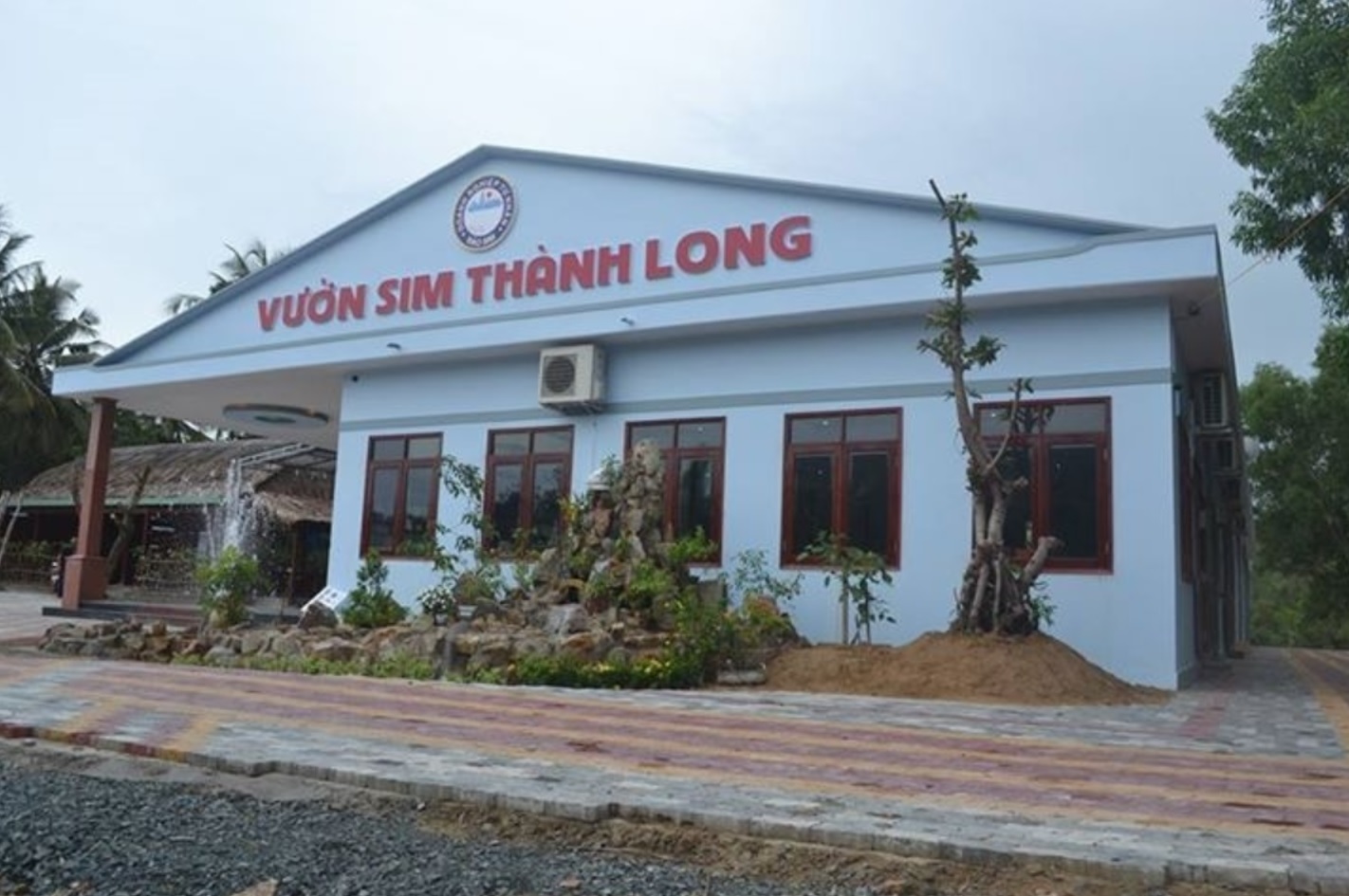 Vườn sim Thành Long - điểm đến không thể bỏ qua khi đến Phú Quốc