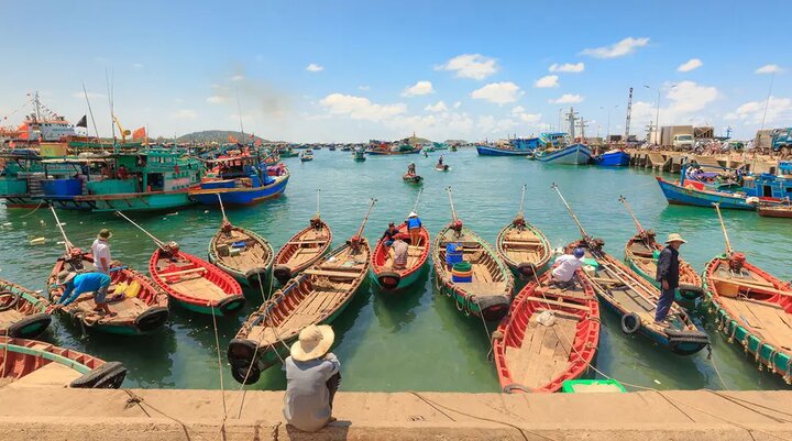 Fishermen unload live crabs and sea urchins at the rustic Ham Ninh Market Corona Casino Phu Quoc