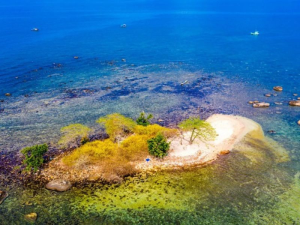 Turtle Island Phu Quoc: Guide to a tropical escape 2025