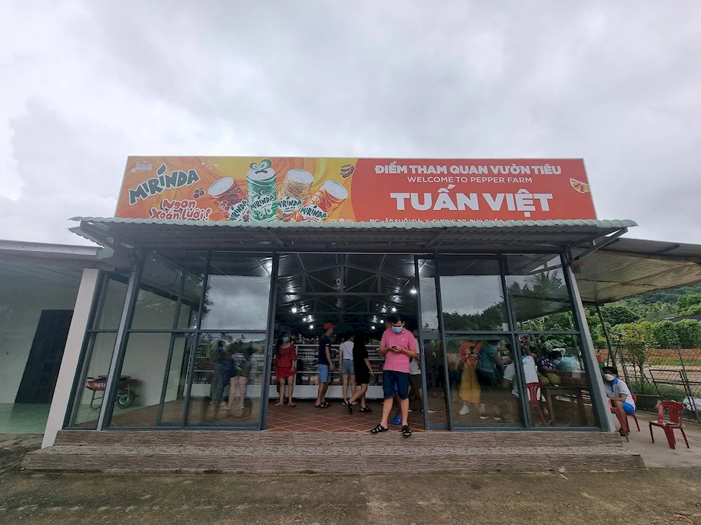 Tuan Viet Pepper Farm — The Traditional Method