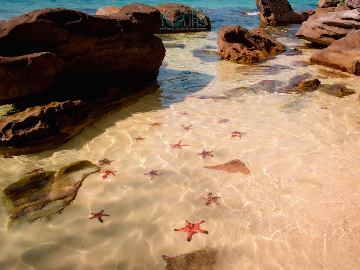 Starfish Beach - Rach Vem Corona Casino Phu Quoc