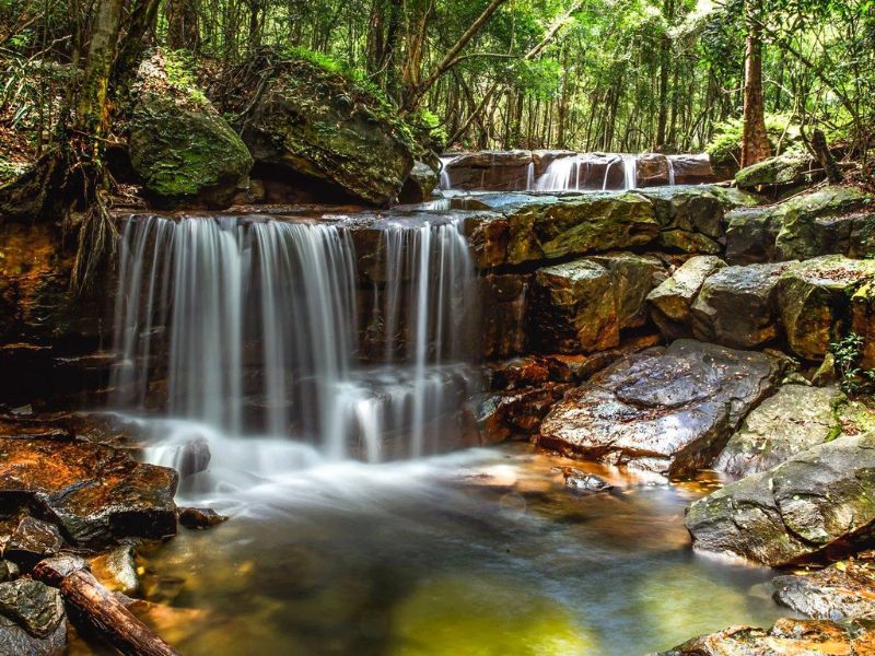 Phu Quoc National Park near Corona Casino Phu Quoc