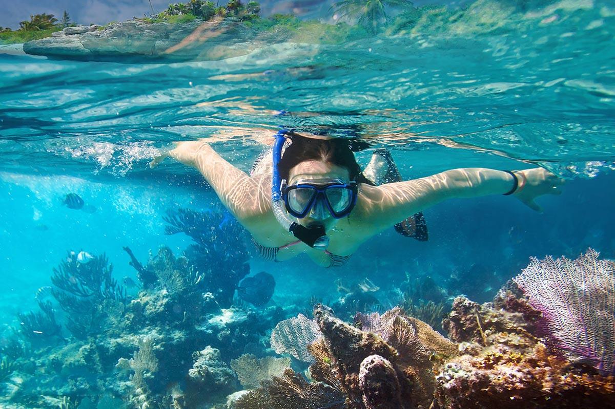Explore the vibrant coral reefs of North Phu Quoc