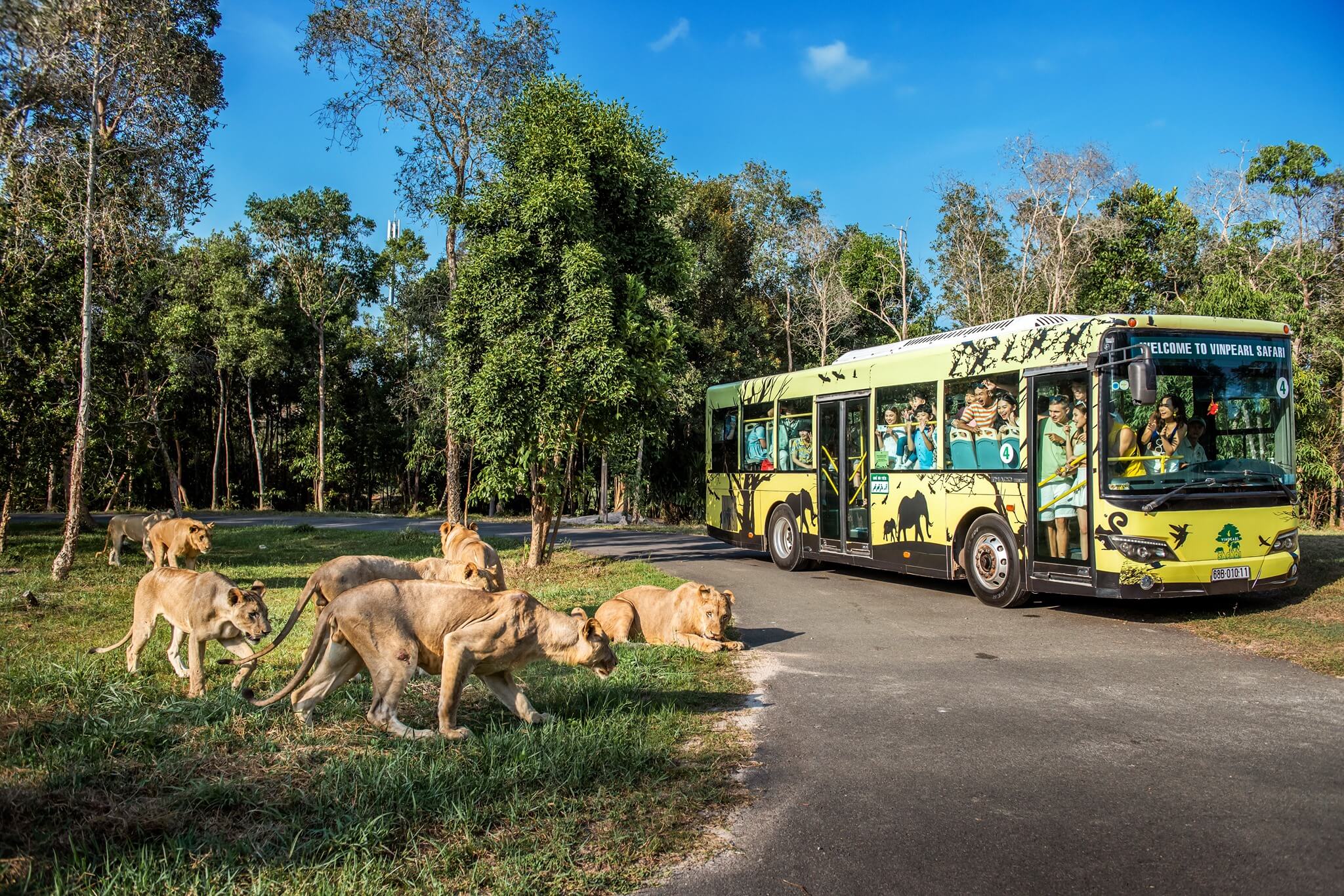 Vinpearl Safari Phu Quoc