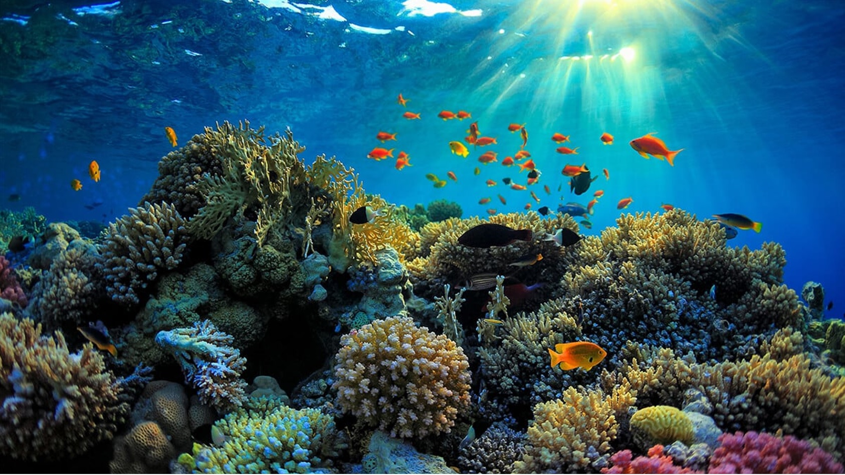 Top Activities for Phu Quoc's December Weather Corona Casino Phu Quoc