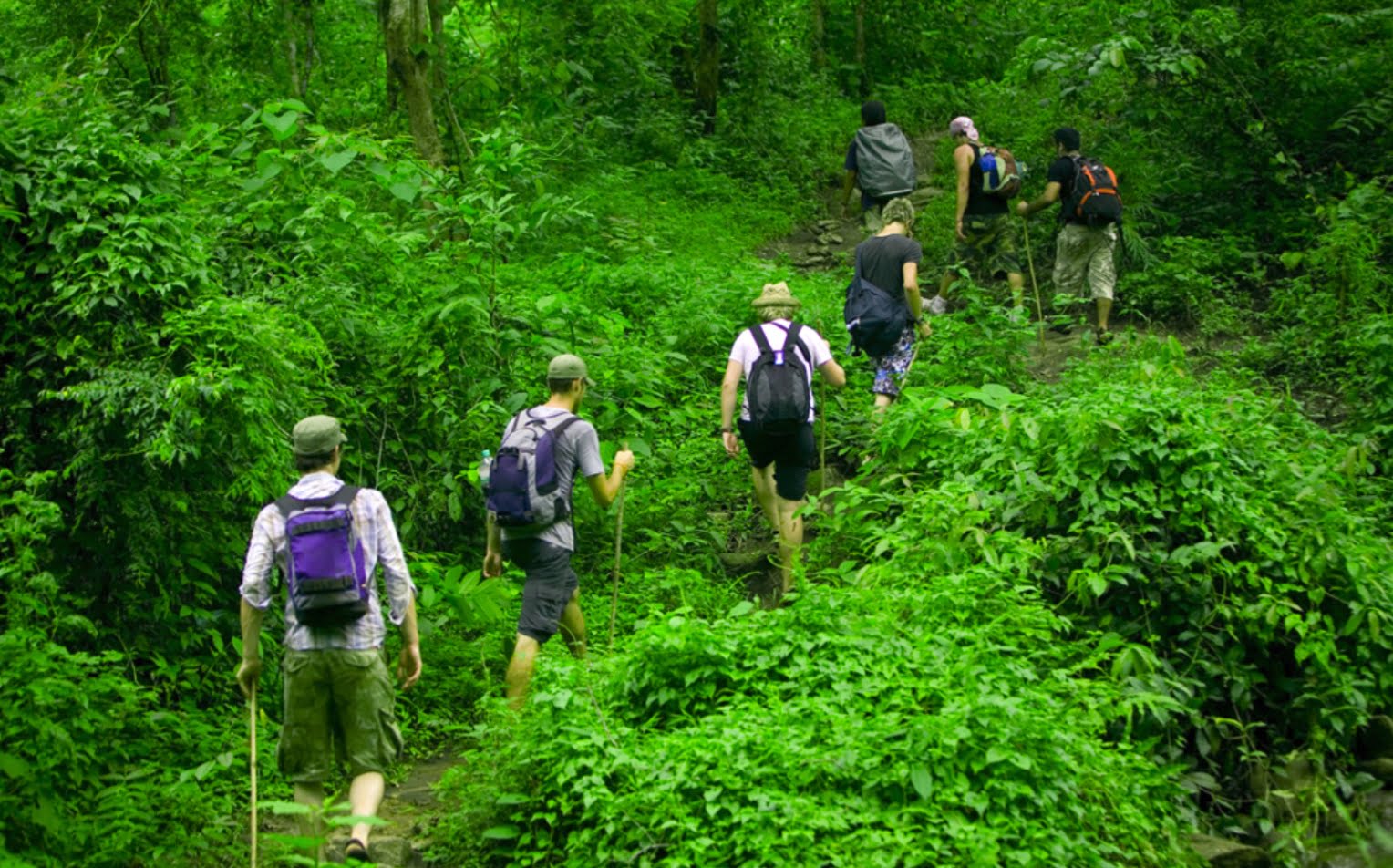 Trekking group exploring Phu Quoc National Park, described by Corona Casino Phu Quoc