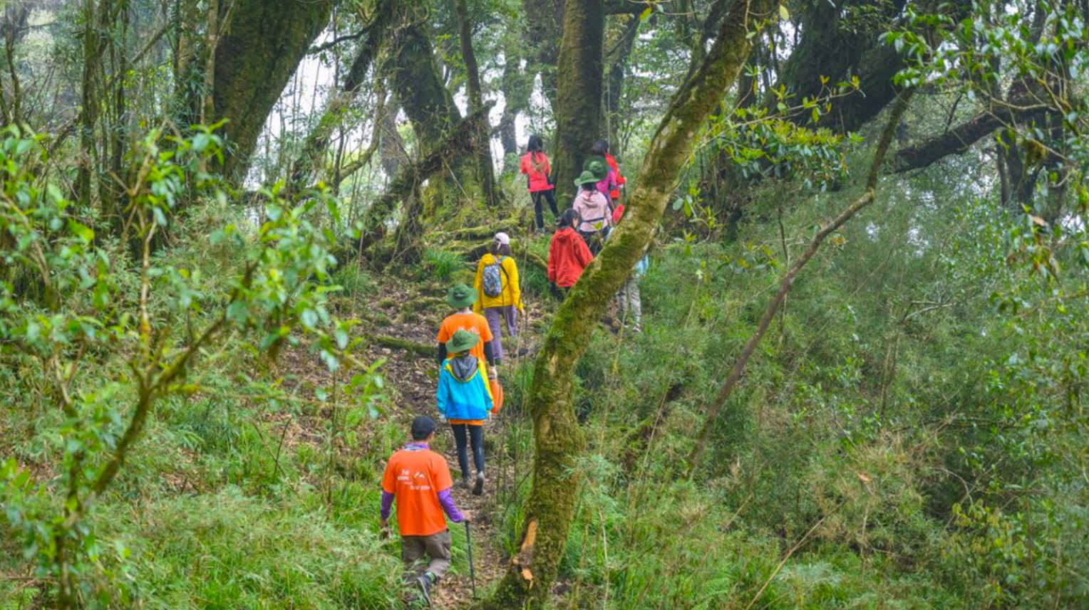 Trekker walking through dense jungle of Phu Quoc National Park, presented by Corona Casino Phu Quoc
