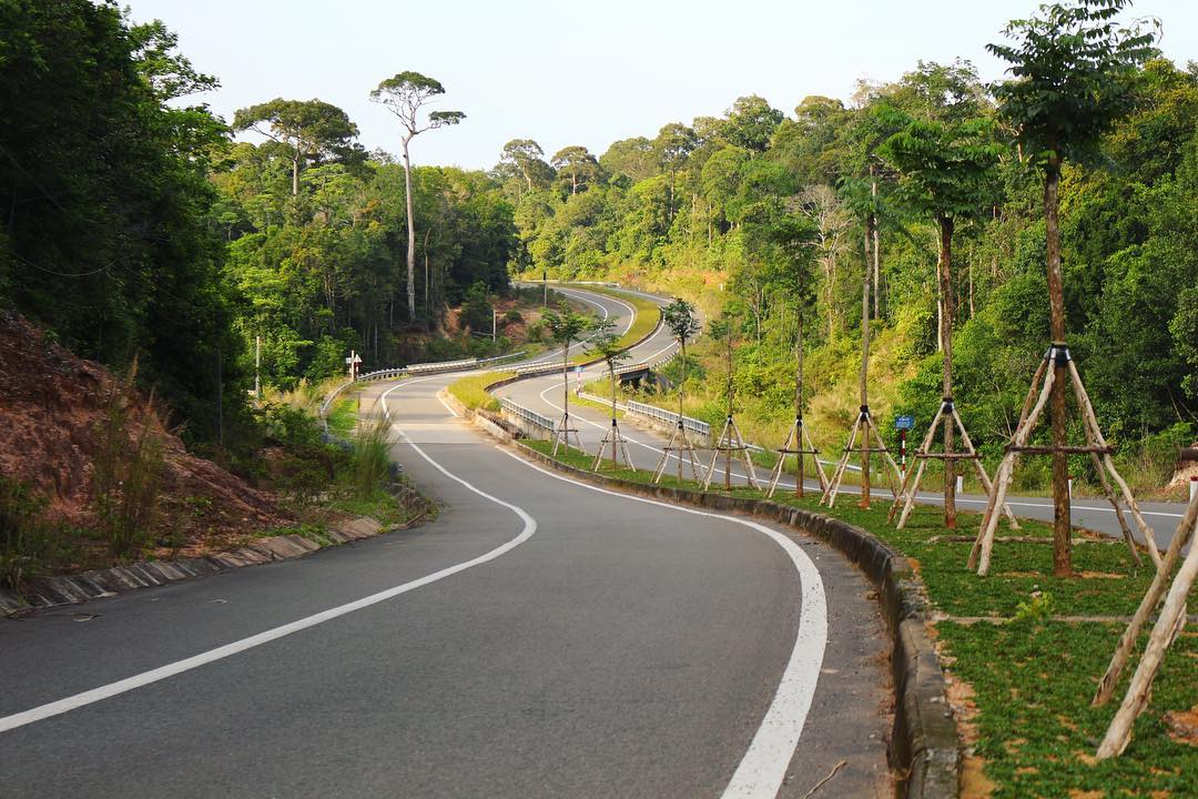 Green pathway leading into Phu Quoc National Park, introduced by Corona Casino Phu Quoc