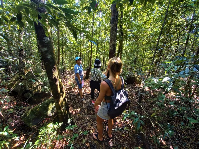 Trekker walking through Phu Quoc National Park jungle