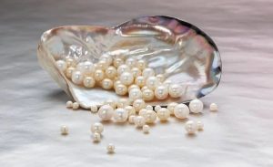 Phu Quoc Pearl Farm 2026: Top 3 Farms Famous & Buy Guide