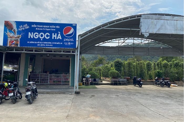 Ngoc Ha Pepper Farm in Phu Quoc, shared by Corona Casino Phu Quoc