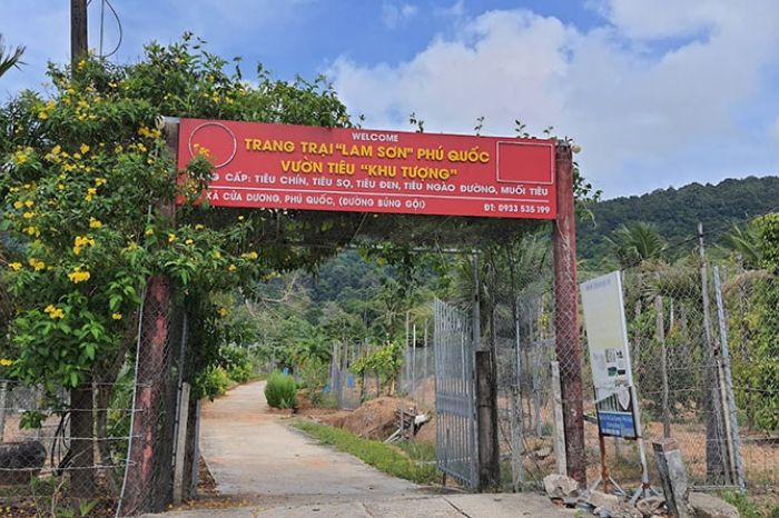 Khu Tuong Pepper Farm landscape featured by Corona Casino Phu Quoc