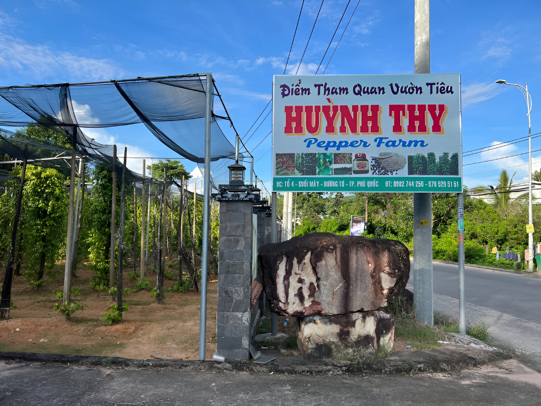 Huynh Thy Pepper Farm pathway, mentioned by Corona Casino Phu Quoc