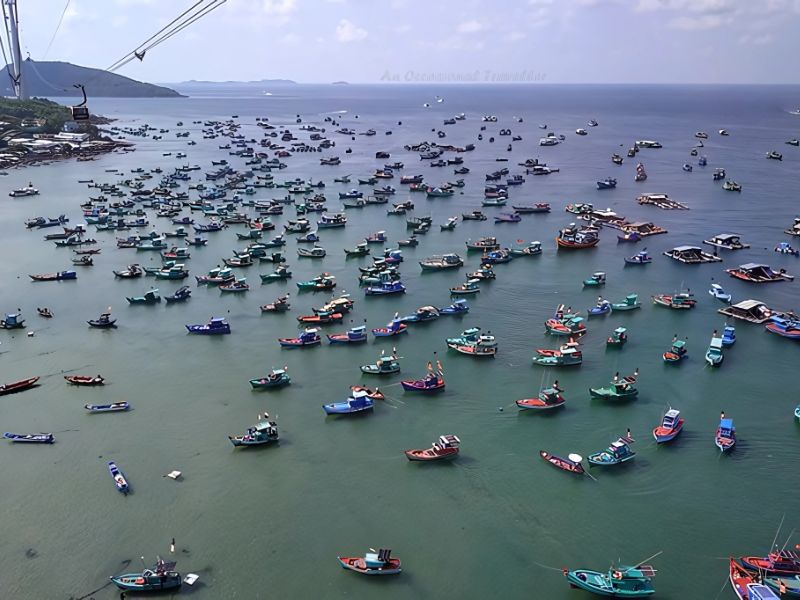 Phu Quoc pearl farm near Corona Casino Phu Quoc
