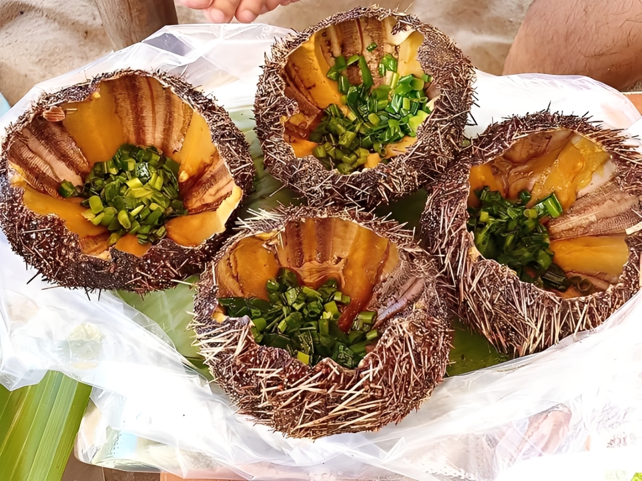 Creamy grilled sea urchin – a Sao Beach specialty