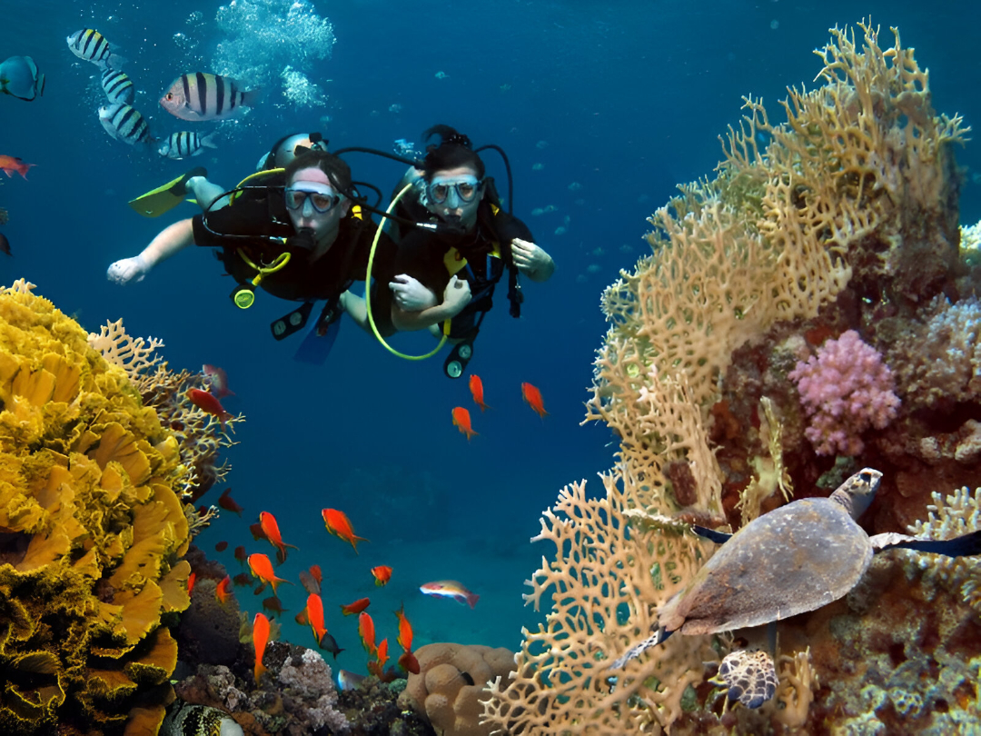 Scuba Dive in Phu Quoc Corona Casino Phu Quoc
