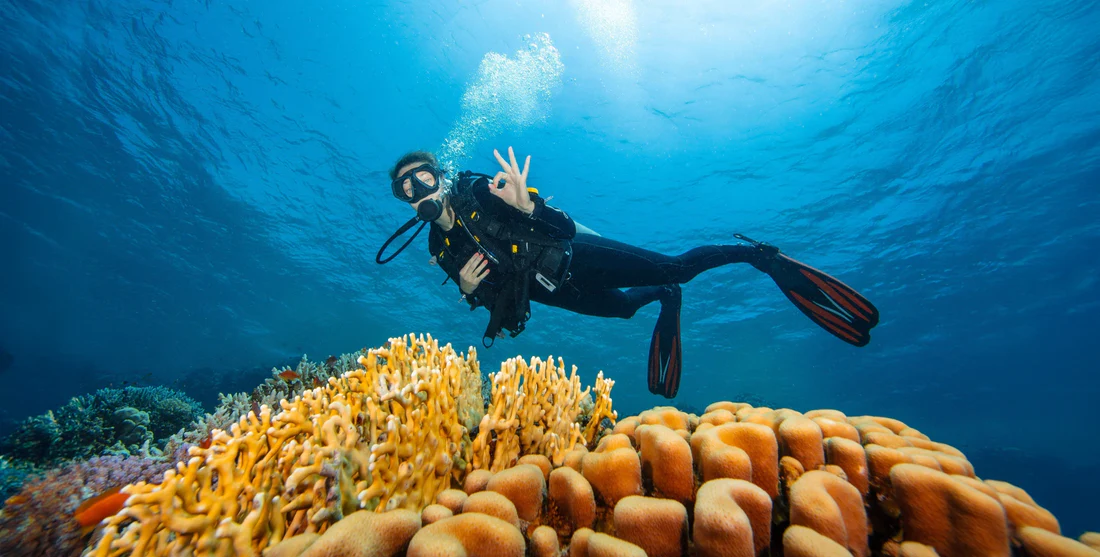 Safe and Memorable Scuba Trip Corona Casino Phu Quoc