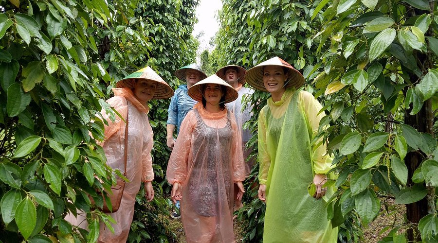 Entrance and drying yard at Khu Tuong pepper farm in Cua Duong Commune near Corona Resort & Casino Phú Quốc