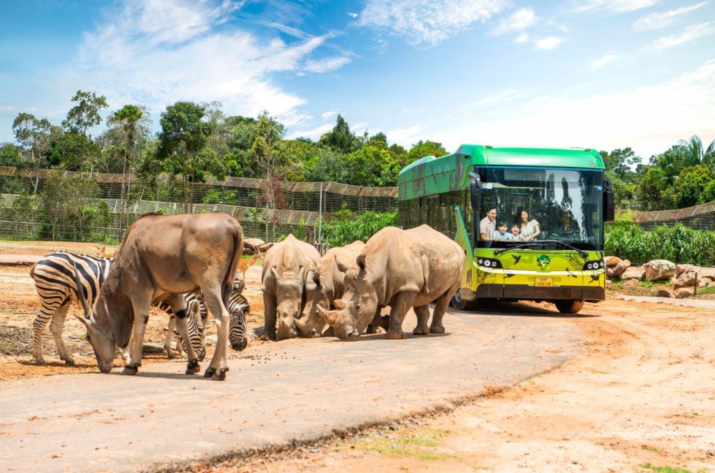 Discover Wildlife at Vinpearl Safari Phu Quoc