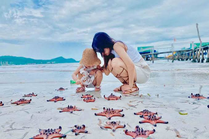 See the Starfish at Rach Vem Beach