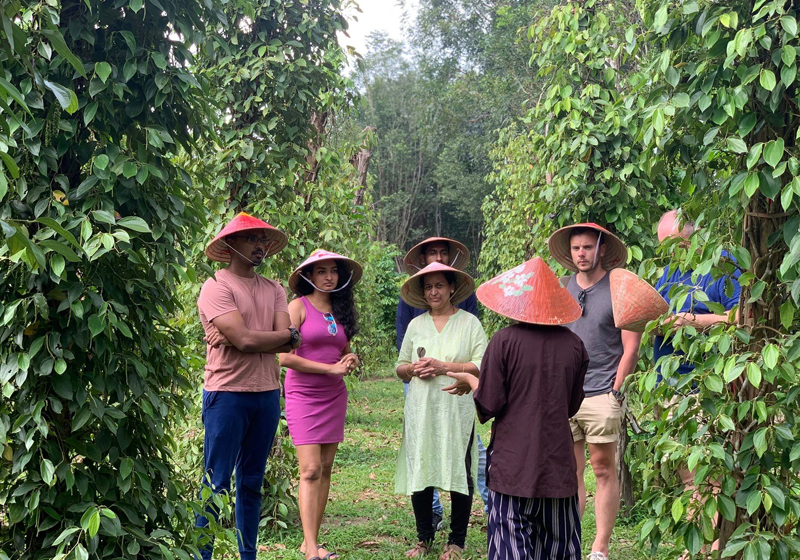 Visit a Phu Quoc Pepper Farm