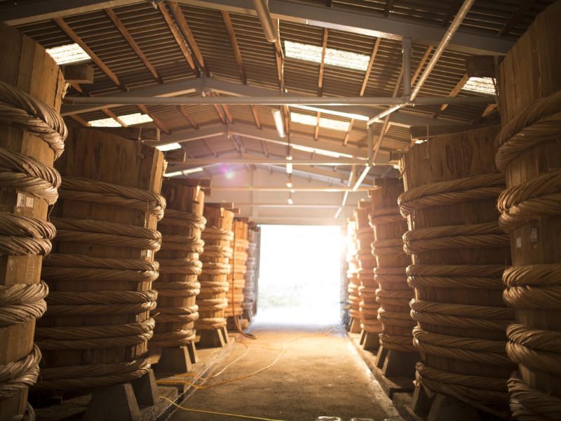 Tourists visiting fish sauce factories in Phu Quoc near Corona Casino Phu Quoc