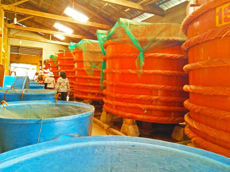 Traditional Hung Thinh fish sauce barrels in Phu Quoc close to Corona Casino Phu Quoc