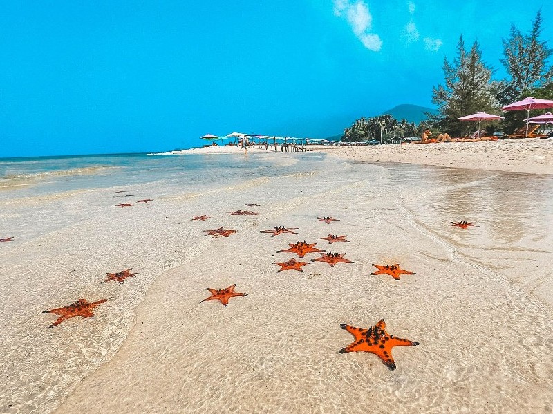 A stunning view of the crystal clear water at Starfish Beach located near the luxury Corona Casino Phu Quoc resort