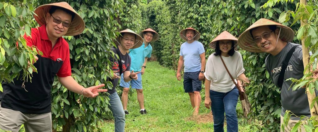 Phu Quoc Pepper farm