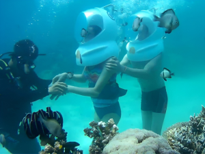 Seawalker Phu Quoc 2026: What It's Like to Walk on the Seabed