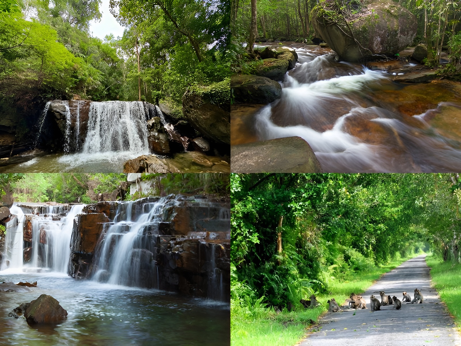 Post-rain moments in Phu Quoc reveal the island’s refreshing nature close to Corona Casino Phu Quoc.