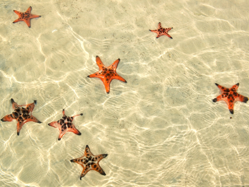 Soft golden sand and tranquil waves create a dreamy view at beaches near Corona Casino Phu Quoc.