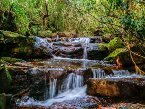 Phu Quoc Weather in March: The Guide 2026 for Smooth Travel