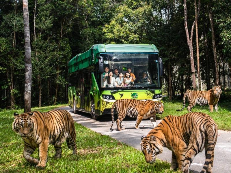 The comfortable October climate in Phu Quoc enriches every wildlife adventure at Vinpearl Safari near Corona Casino Phu Quoc
