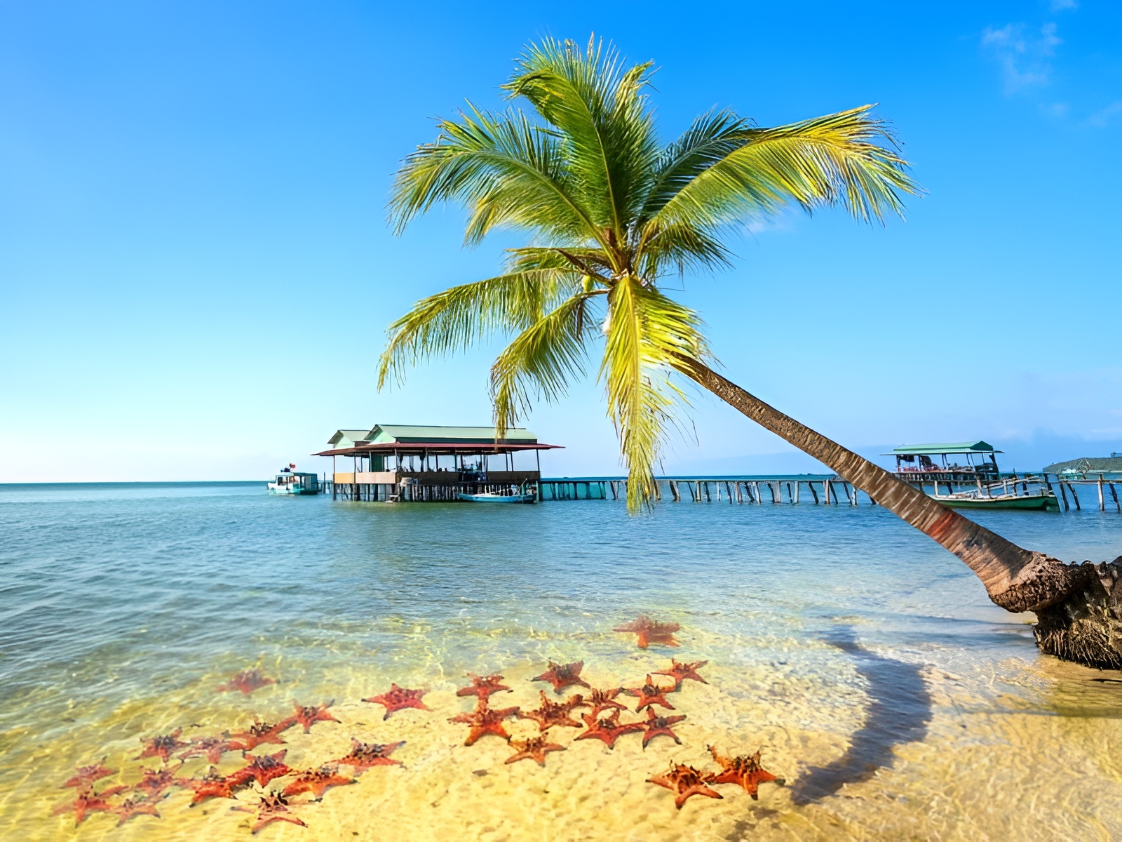 Discover the beauty of Starfish Beach in Phu Quoc, a picturesque spot near Corona Casino Phu Quoc