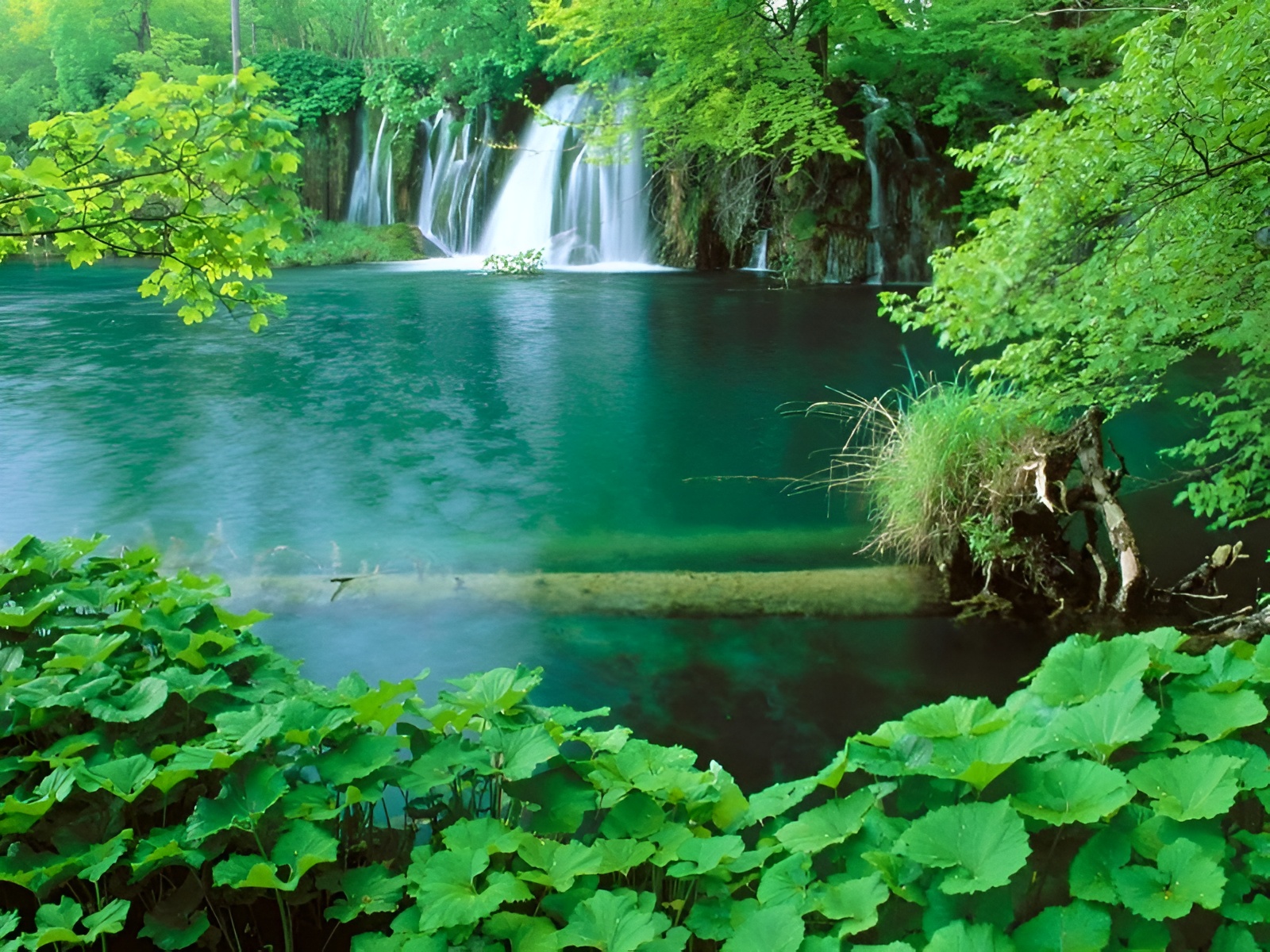 Exploring the rich biodiversity and mountains within Phu Quoc National Park a peaceful retreat from Corona Casino Phu Quoc