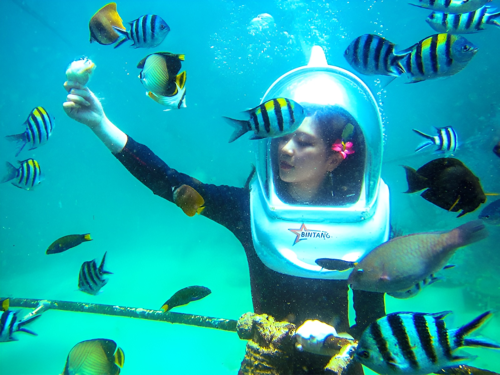 Seawalker underwater walking amidst coral and tropical fish at Corona Resort & Casino Phu Quoc.
