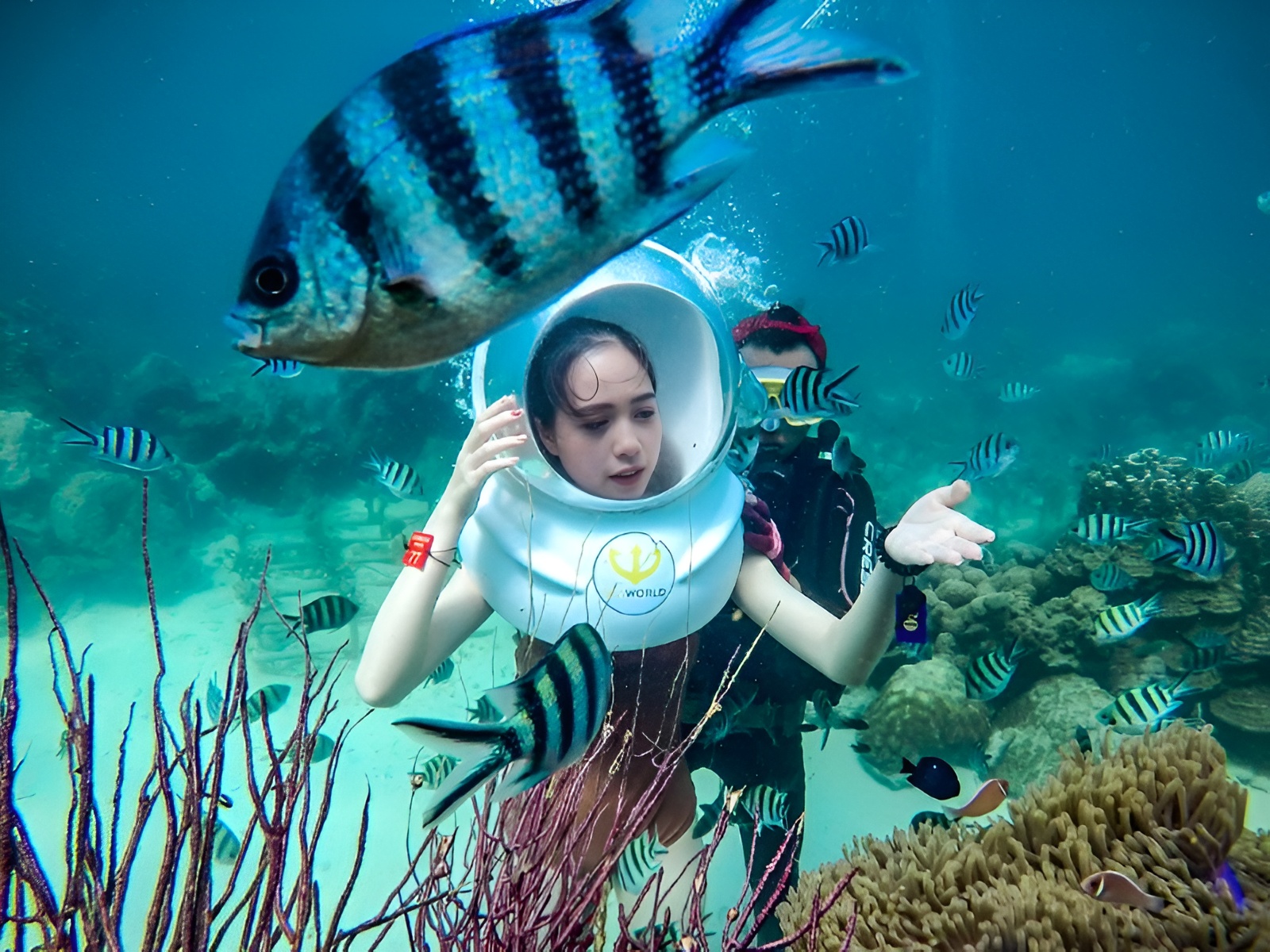 Discovering a vibrant underwater world by feeding fish, one of the unique diving activities available through Corona Resort & Casino Phu Quoc