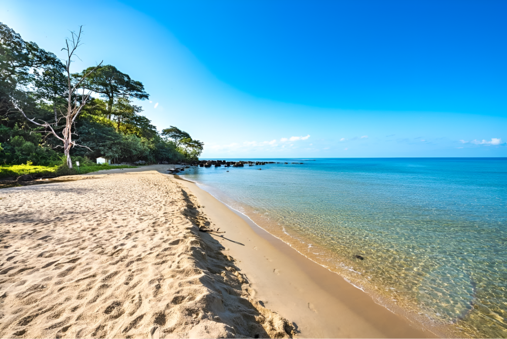 Tranquil Vung Bau Beach with crystal-clear waters and golden sand close to Corona Casino Phu Quoc