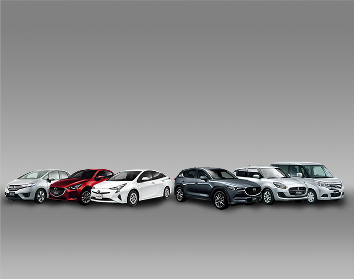 Car rental in phu quoc