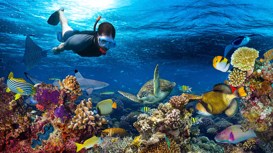 Discovering Why Is Phu Quoc the Best Place for Snorkeling in Vietnam a must do activity for guests near Corona Casino Phu Quoc