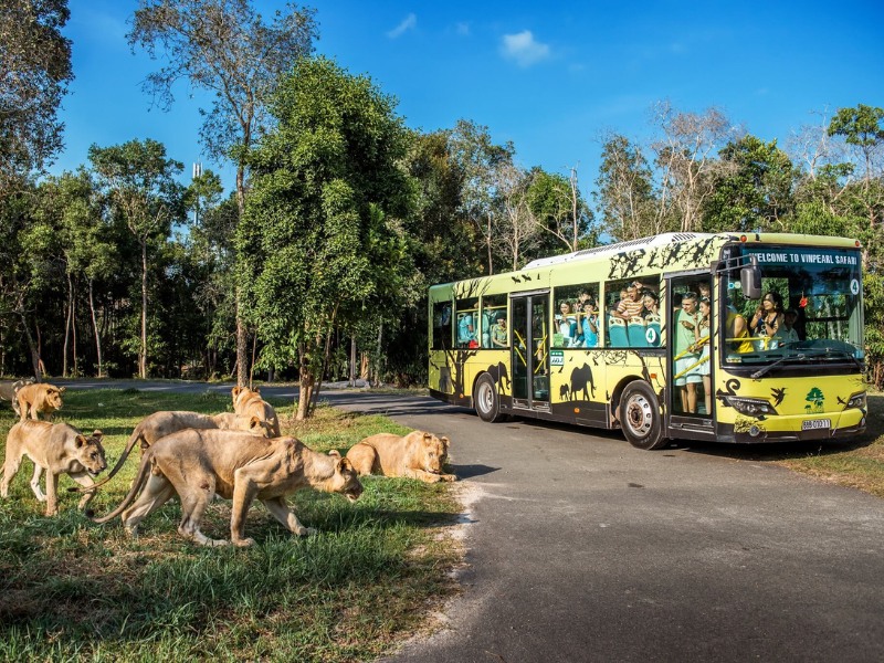 Vinpearl Safari là công viên bảo tồn động vật bán hoang dã đầu tiên tại Việt Nam