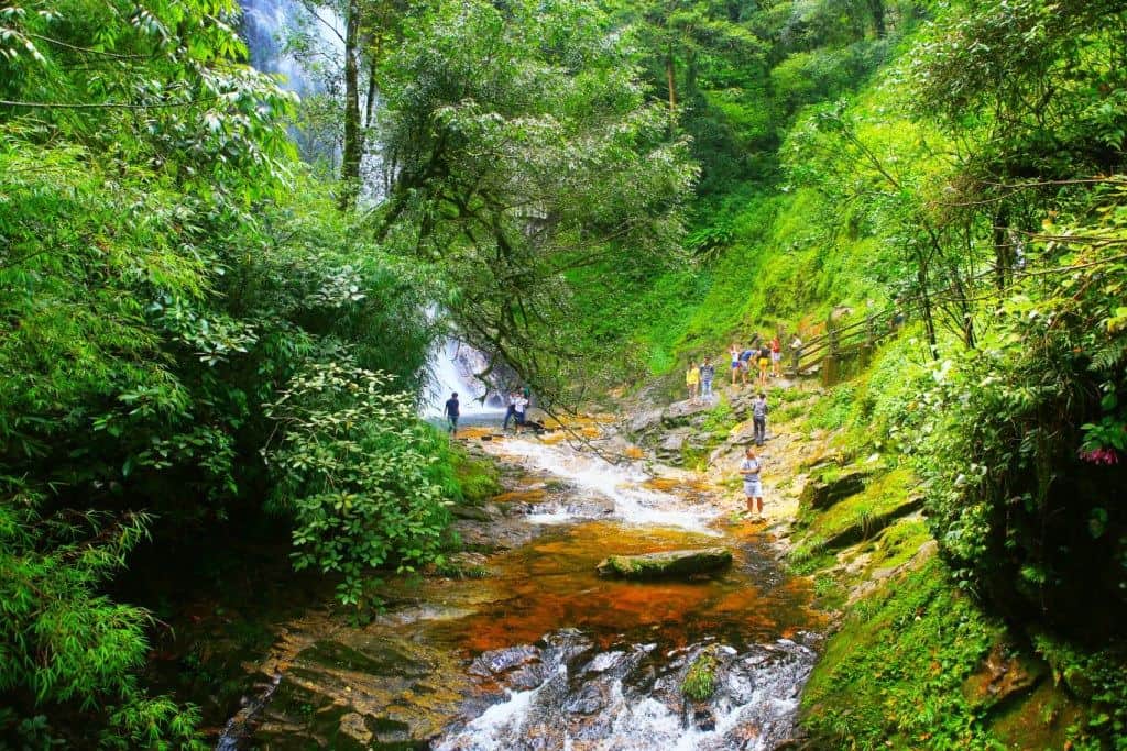 Phu Quoc National Park is situated in the northeastern region of Phu Quoc Island