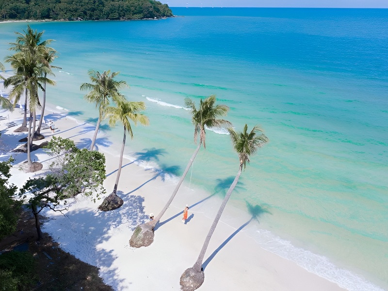 A stunning view of Bai Sao beach white sand coconut trees tropical shores showcasing the island's beauty for visitors of Corona Casino Phu Quoc