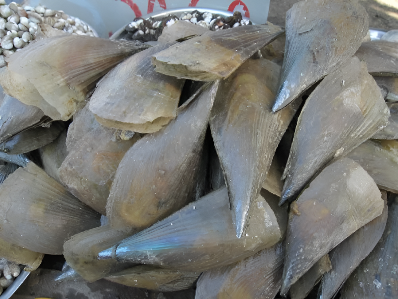 Tìm hiểu địa chỉ ăn còi biên mai uy tín tại Phú Quốc để thưởng thức hương vị biển khơi đúng điệu khi nghỉ dưỡng tại Corona Casino Phú Quốc.