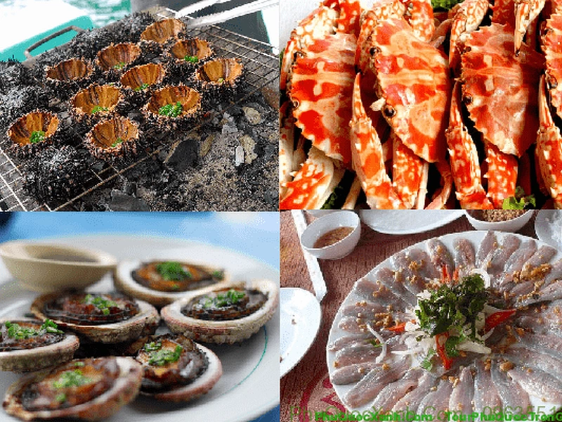 Hình ảnh collage các món ăn hải sản tươi ngon đặc sắc như ghẹ, nhum nướng và gỏi cá khi du lịch Phú Quốc tháng 5, gợi ý bởi Corona Resort & Casino Phú Quốc
